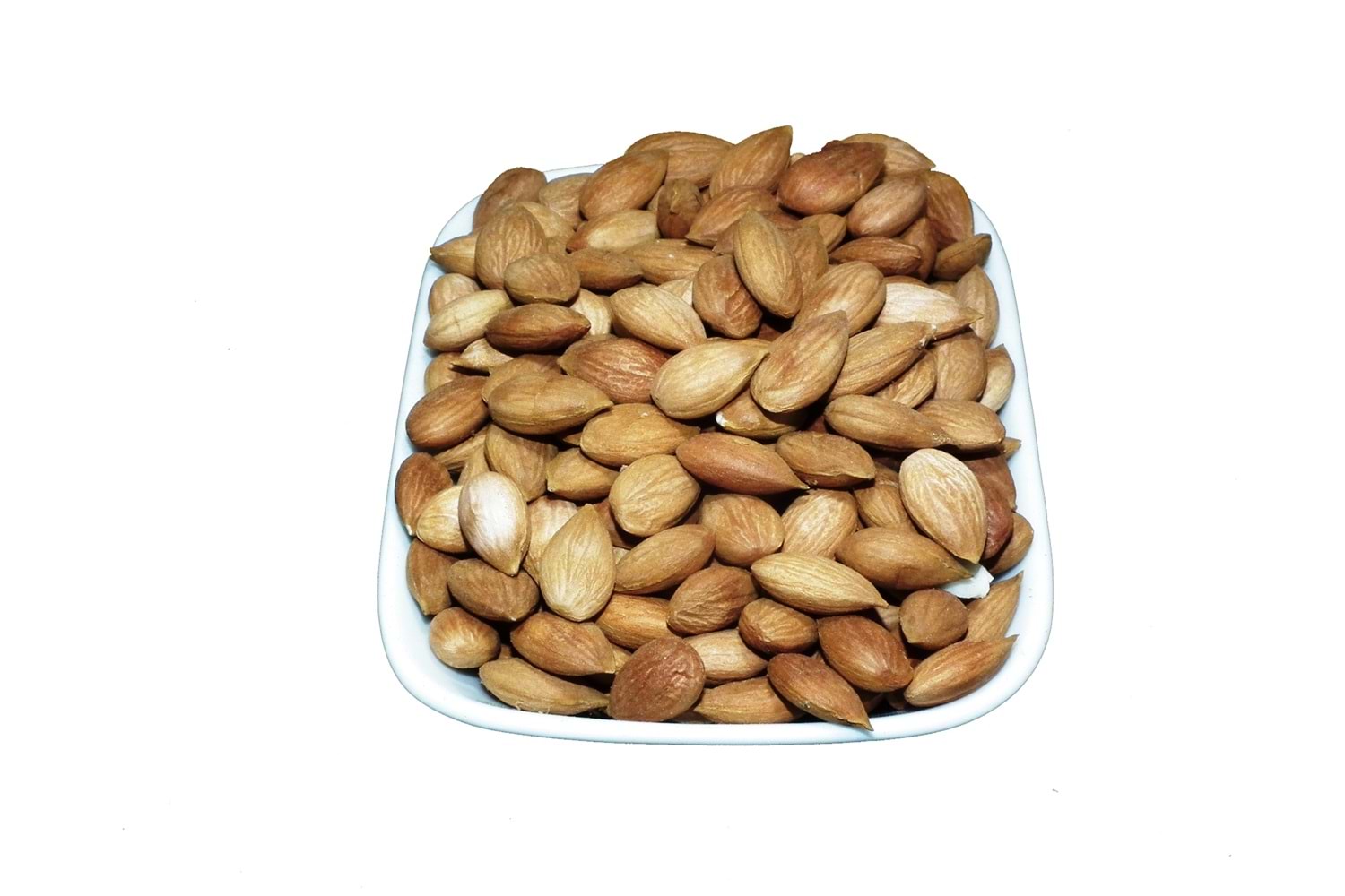 ACI SARI KAYISI ÇEKİRDEĞİ