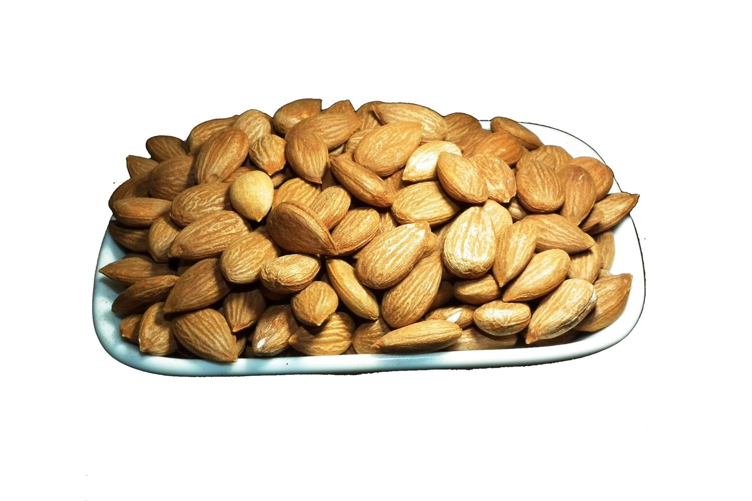 SARI KAYISI ÇEKİRDEĞİ