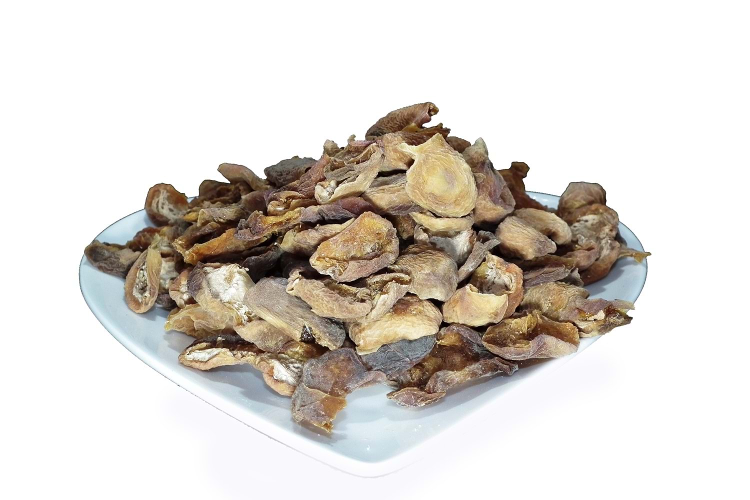 GÜN KURUSU KAYISI KABUĞU