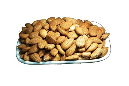 SARI KAYISI ÇEKİRDEĞİ