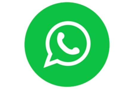 SARI KAYISI ÇEKİRDEĞİ