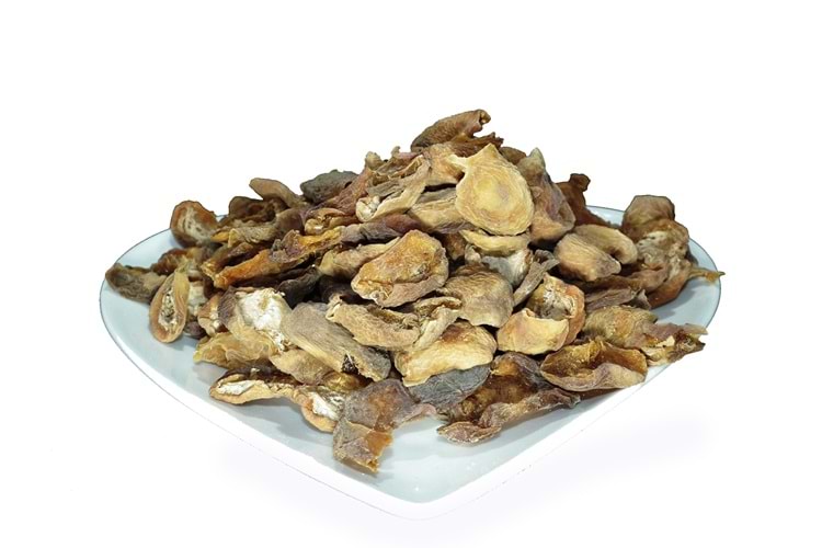 GÜN KURUSU KAYISI KABUĞU