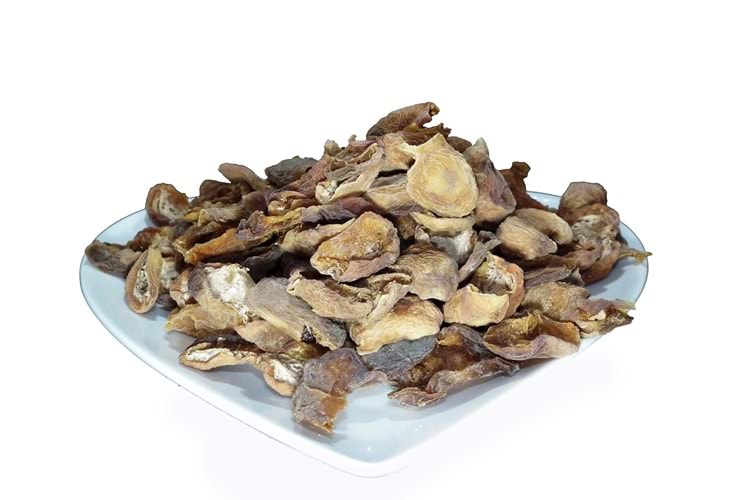 GÜN KURUSU KAYISI KABUĞU