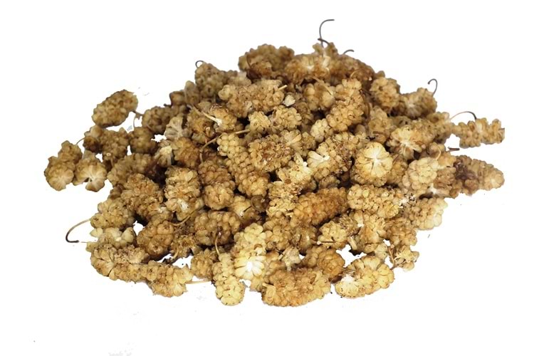 KURU DUT ÇEKİRDEKLİ