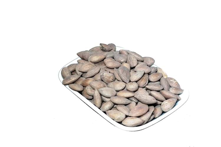 TUZLU KAVRULMUŞ GÜN KURUSU ÇEKİRDEĞİ